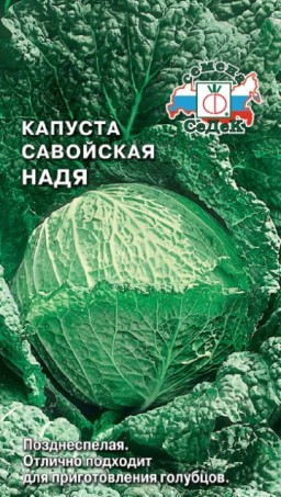 Капуста савойская Надя (СеДеК) Капуста савойская Надя (СеДеК)