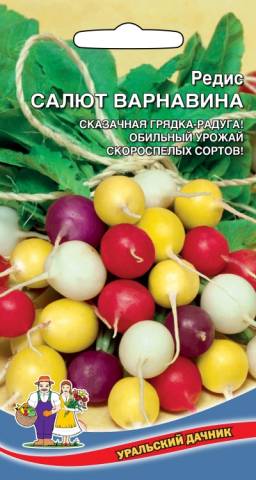 Редис Салют Варнавина УД