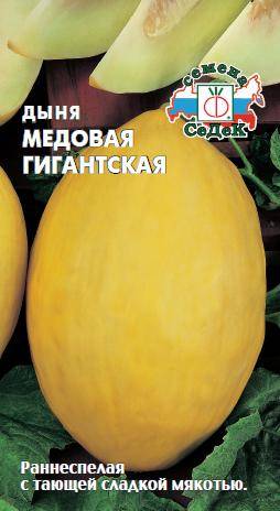 Дыня Медовая гигантская F1 (СеДеК)