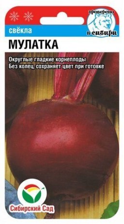 Свекла Мулатка (Сиб Сад) Свекла Мулатка (Сиб Сад)