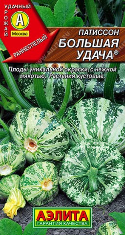 Патиссон Большая удача (Аэлита)
