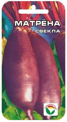 Свекла Матрена (Сиб сад) Свекла Матрена (Сиб сад)