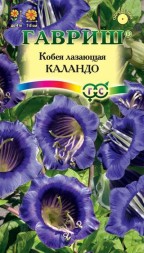 Кобея Лазающая Каландо (Гавриш)