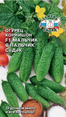 Огурец Мальчикс пальчик F1 корнишон (СеДеК)